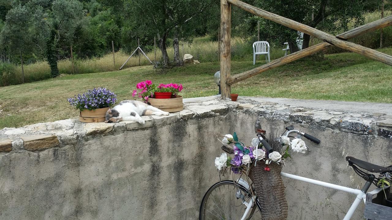 B&B Le Torri Di Firenze Fiesole Luaran gambar