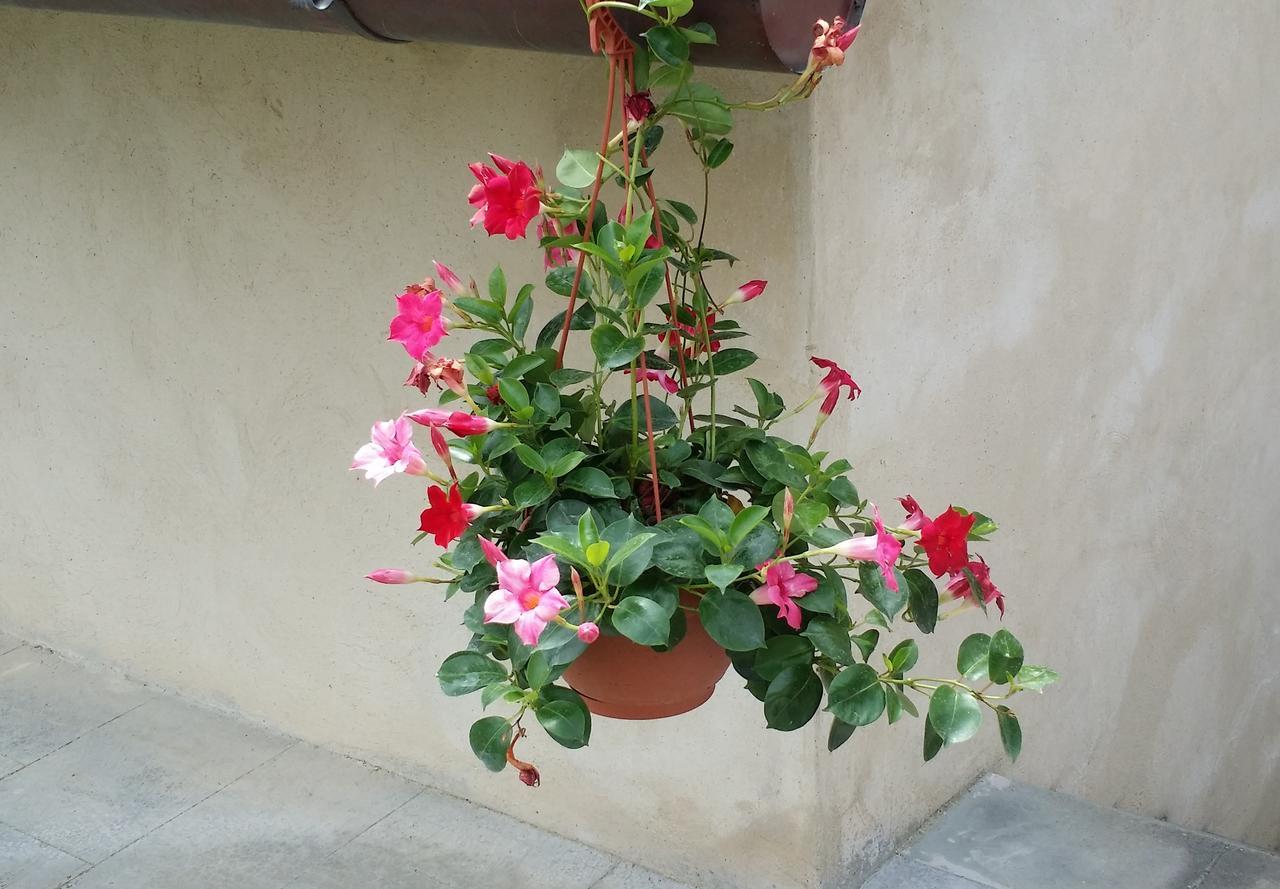 B&B Le Torri Di Firenze Fiesole Luaran gambar