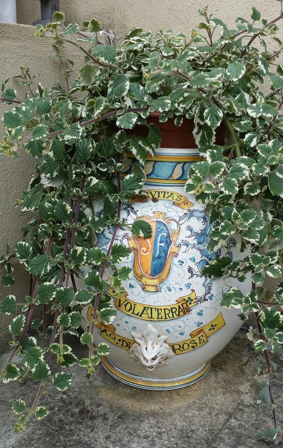 B&B Le Torri Di Firenze Fiesole Luaran gambar